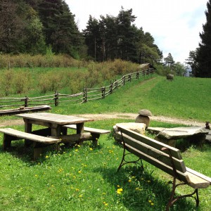 Un picnic nel verde